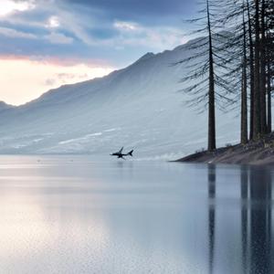 372 (A Self-Fulfilling Prophecy)