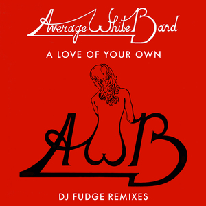 A Love Of Your Own (DJ Fudge Remix)