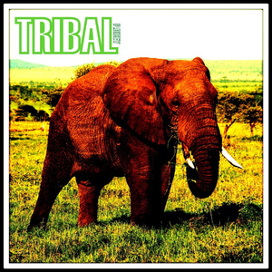 Tribal
