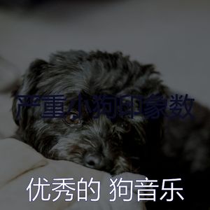 温和可爱的狗梦想