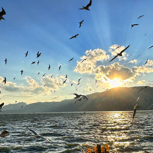 《古韵武侠山水情》