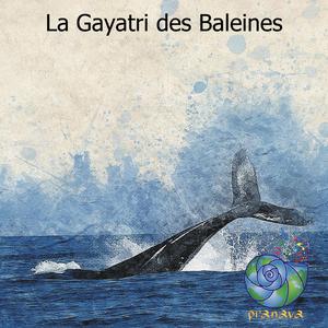 La Gayatri Des Baleines