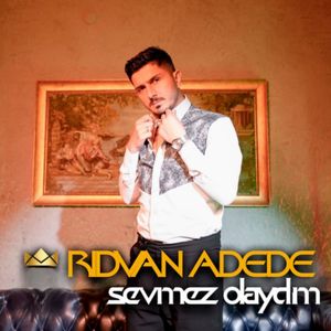Sevmez Olaydım