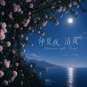 仲夏夜的清风