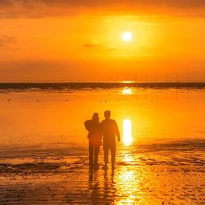 格式转换_逝去爱_2026-04-09_011348