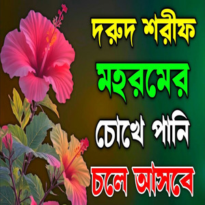 মহরমের নতুন দরুদ শরীফ শত শত চিঠি দিল কুফা বাশি পৌঁছাইয়া ভালো লাগবে ইনশাআল্লাহ