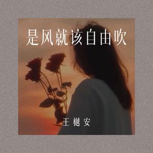 是风就该自由吹