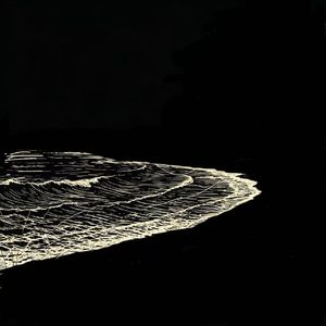 仲夏夜旅行