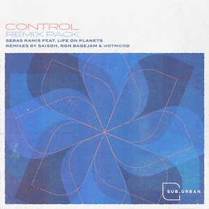 Control (Ron Basejam Disco Dub)