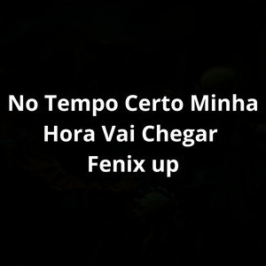 No Tempo Certo Minha Hora vai Chegar