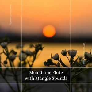 Daily Dose Of Meditation