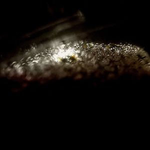 你曾是我的全世界