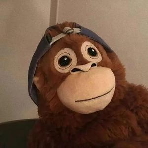 不得不爱（说唱版）