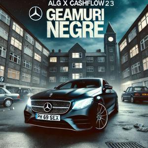 Geamuri Negre (feat. ALG)