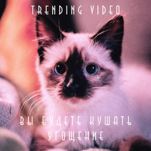 ВЫ БУДЕТЕ КУШАТЬ УГОЩЕНИЯ (Speed-Up Tik-Tok Remix)