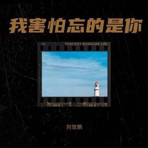 《我害怕忘的是你》