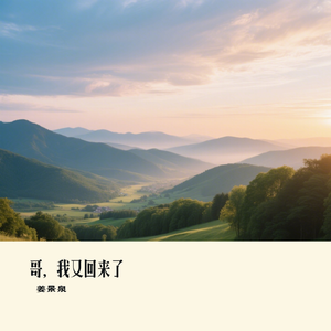 哥，我又回来了