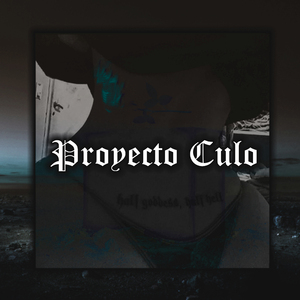 Proyecto Culo