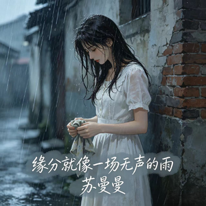 缘分就像一场无声的雨