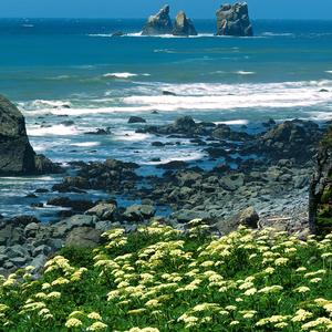 梦想的旅途我背井离乡