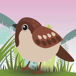 Un batuffolo di nome Cotton