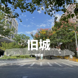 旧恋404