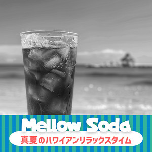 Coconut Grove Reflections