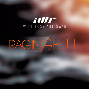 Raging Bull (Extended Mix)