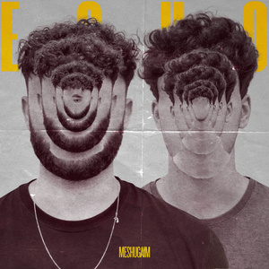 Echo