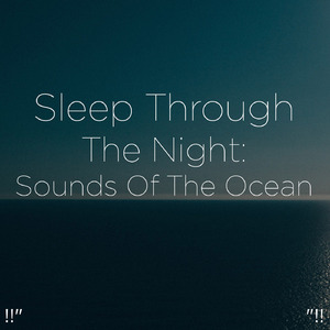 睡眠のための海の音