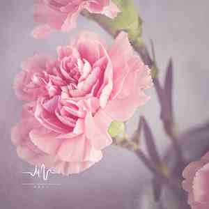 封存的爱 (钢琴+海浪声)