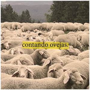 Contando Ovejas