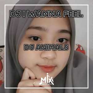 DJ I Wanna Feel