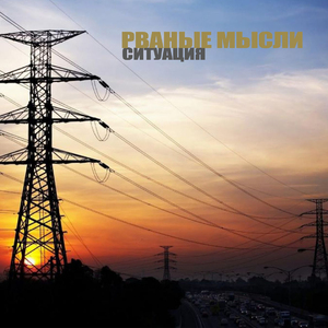 Полигомистка