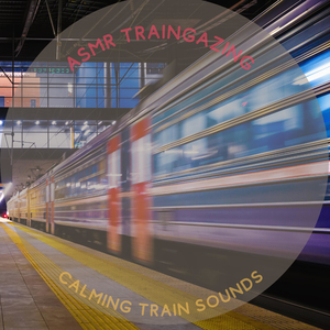 A Calming Train Trip
