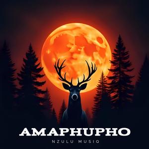 Amaphupho