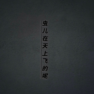 虫儿飞 drill type beat