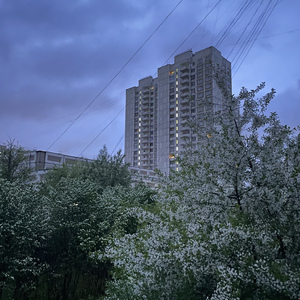 мягкая сила