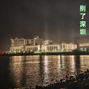 别了深圳