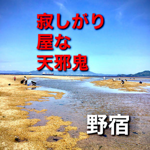 寂しがり屋な天邪鬼