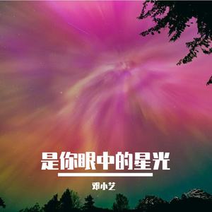 《是你眼中的星光》