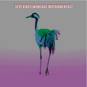 Seyi Vibez (Menace Instrumental)