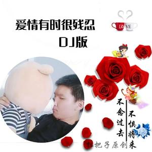 爱情有时很残忍 (剪辑 DJ版)