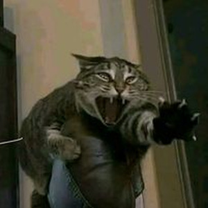 imgonnagetyouback (slowed)