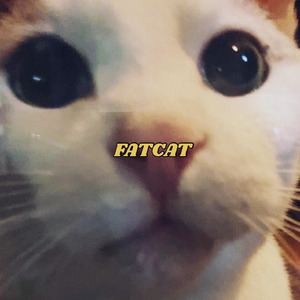 ^x^FATCAT^x^