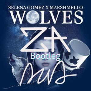 Selena Gomez-Wolves(AztA Bootleg（AztA remix）