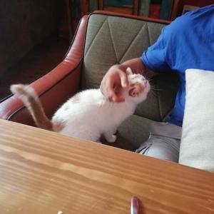 如果我真的特别爱你_01