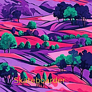 Skateboarder