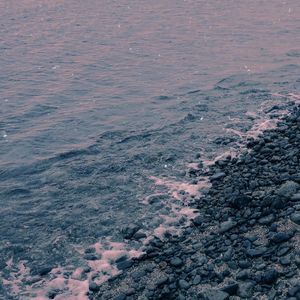 【いなみ】わたしのほねのうみ（Cover 笹川真生)