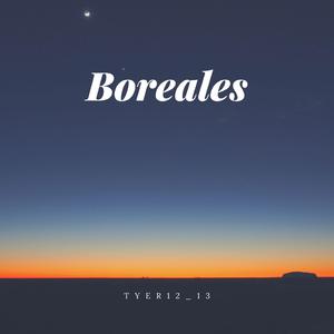 BoreAles